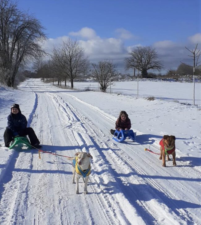 Winterspaß