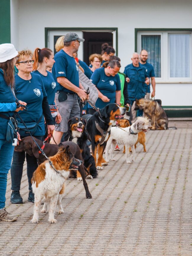 Beitragsbild Anne Gatow