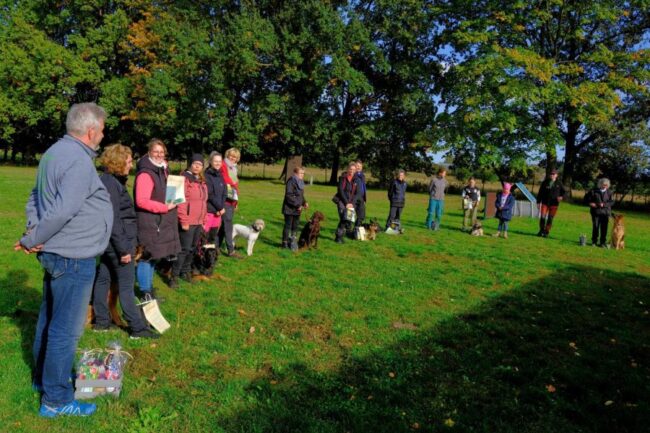 31 Prüfungsteilnehmer