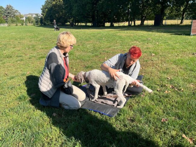 Kann das Bein so nach hinten weggesteckt werden, ist die Hüfte ok.